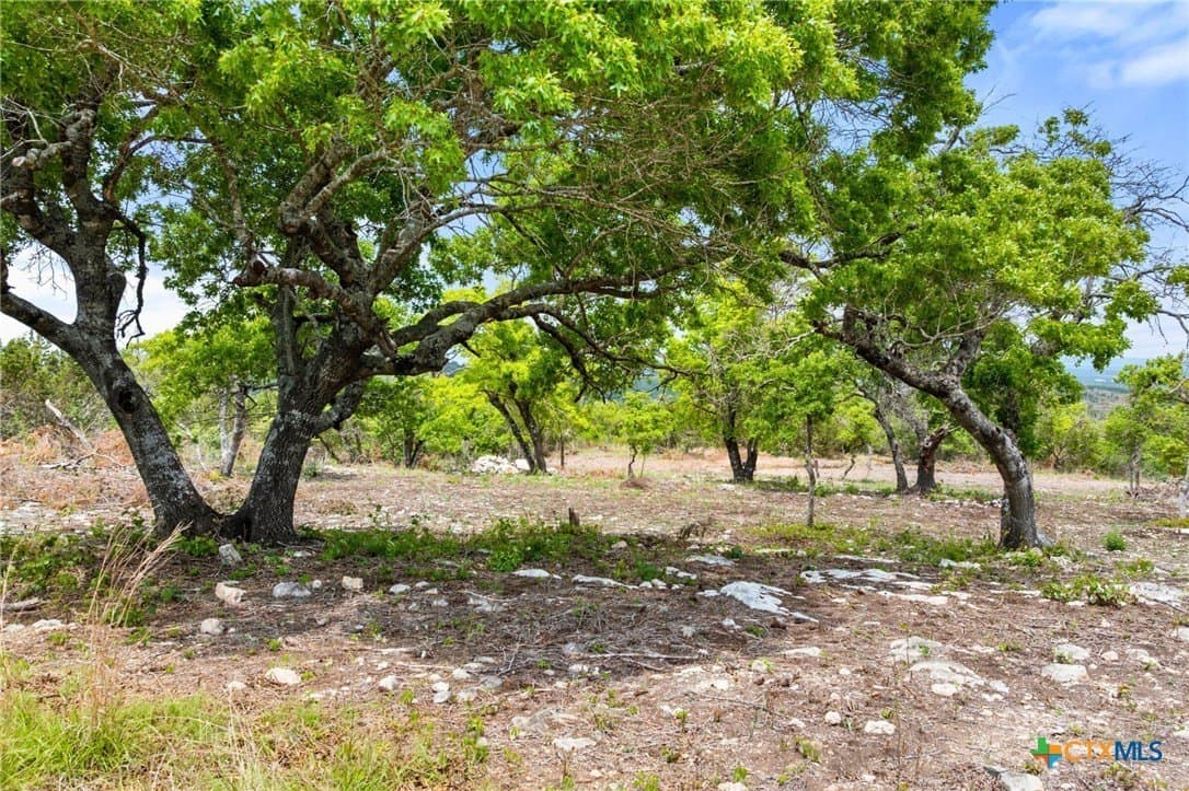 5.66 acres in Blanco County - photo 15
