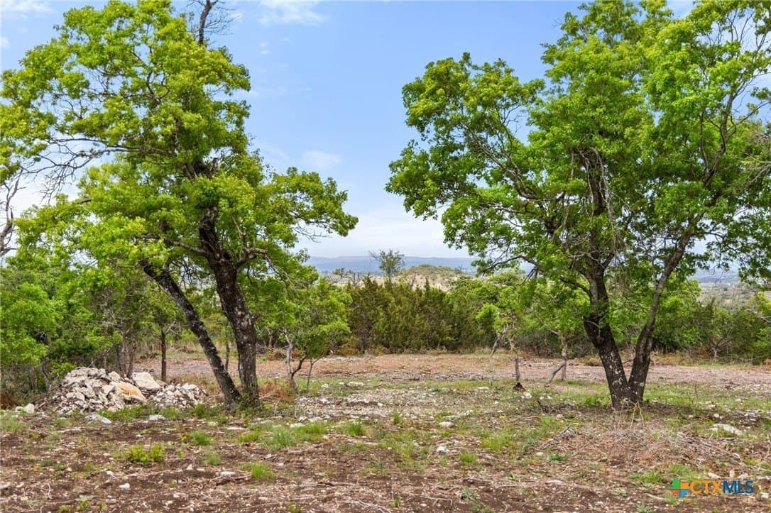 5.66 acres in Blanco County - photo 17