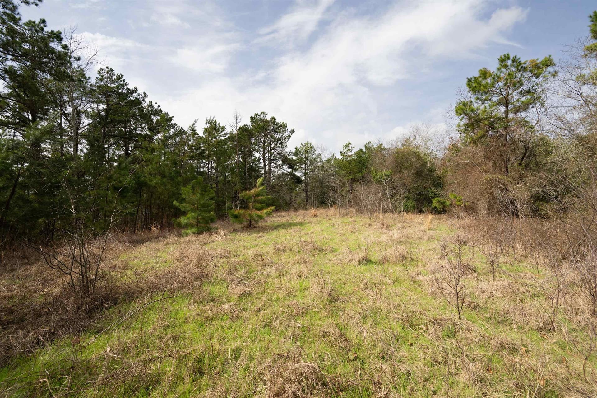 10.94 acres in Gregg County gallery image 3
