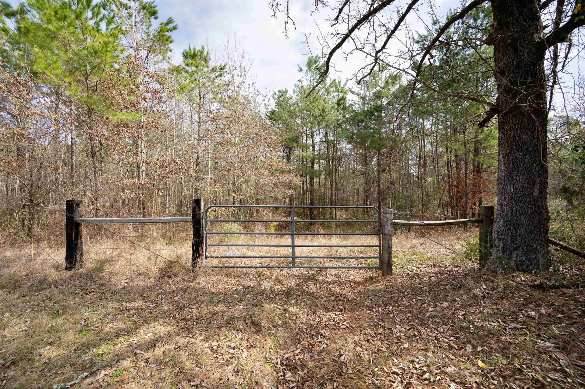 10.94 acres in Gregg County gallery image 2