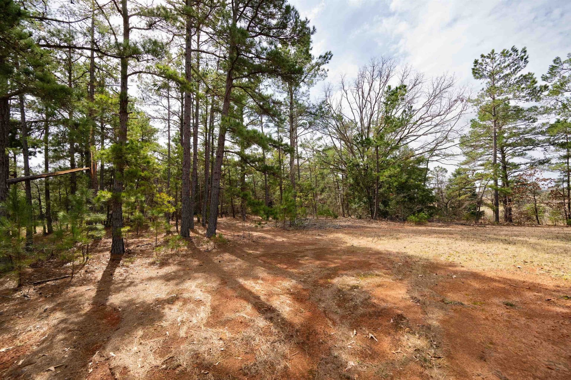 10.94 acres in Gregg County featured view