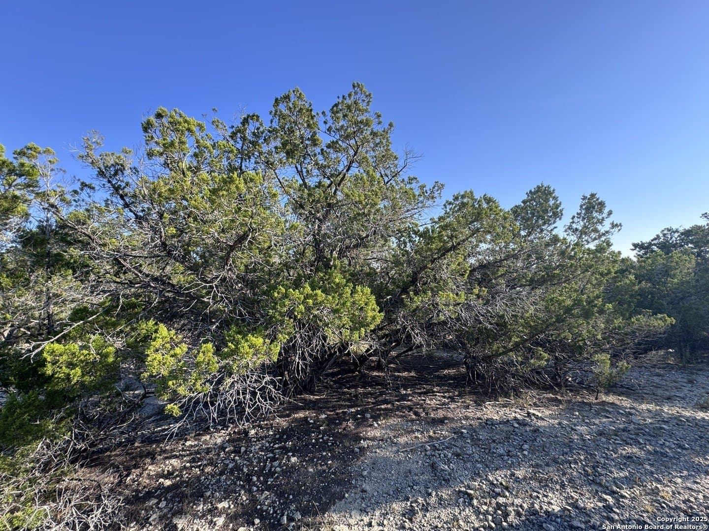 0.18 acres in Bandera County - photo 8