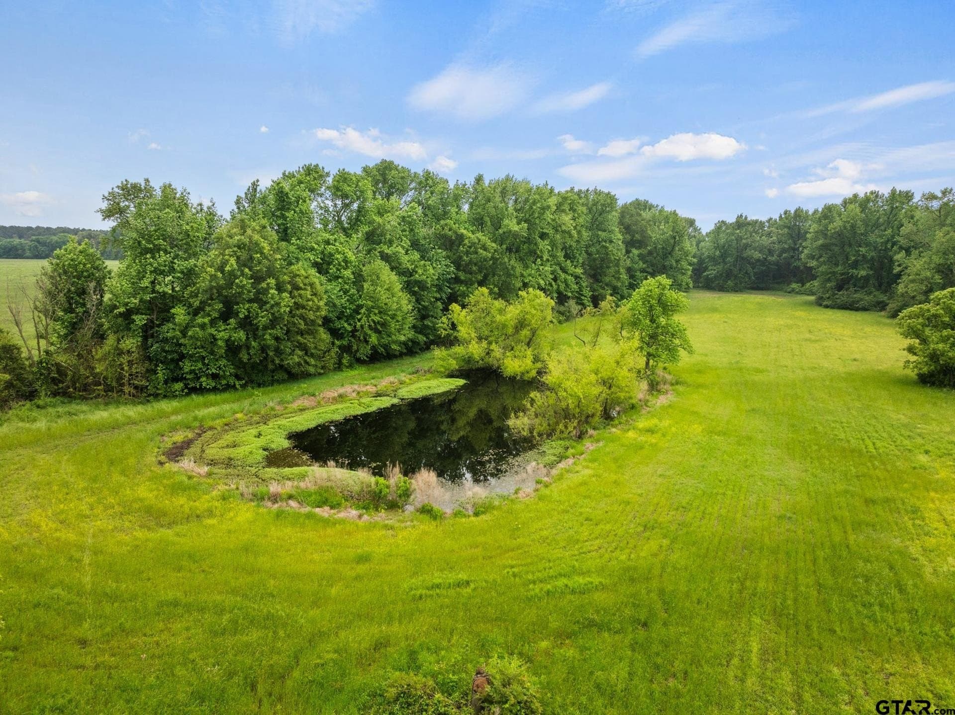 7.41 acres in Camp County - photo 36