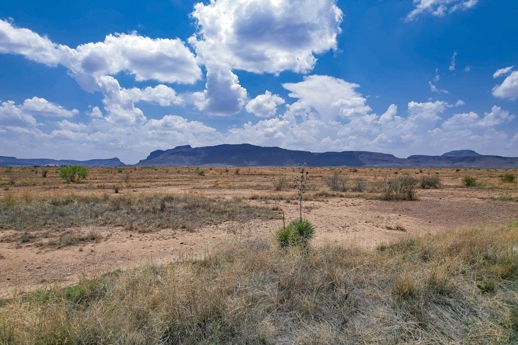 15.83 acres in Brewster County gallery image 4