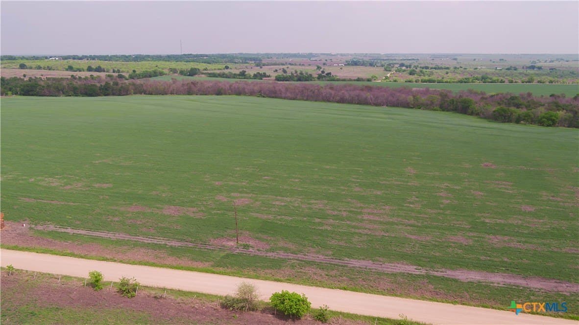 6 acres in Milam County - photo 6