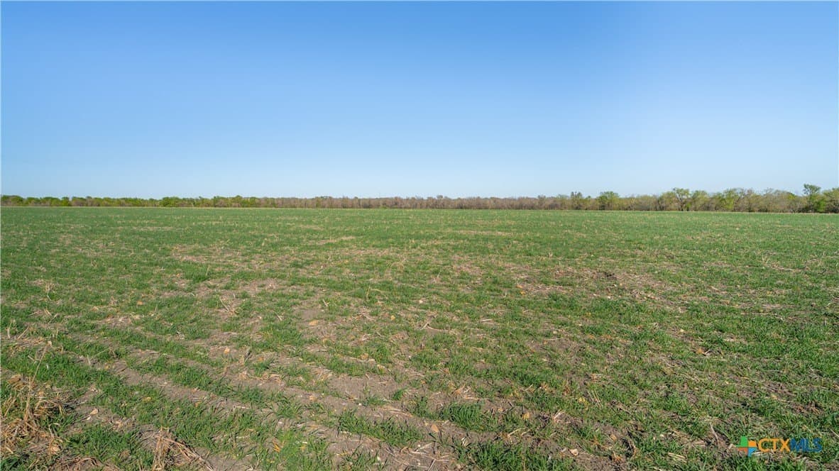 6 acres in Milam County - photo 16