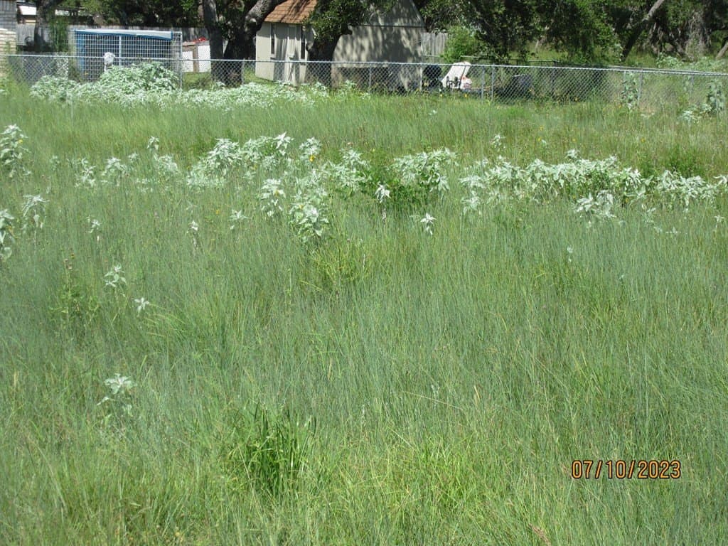 0.24 acres in Texas County gallery image 3