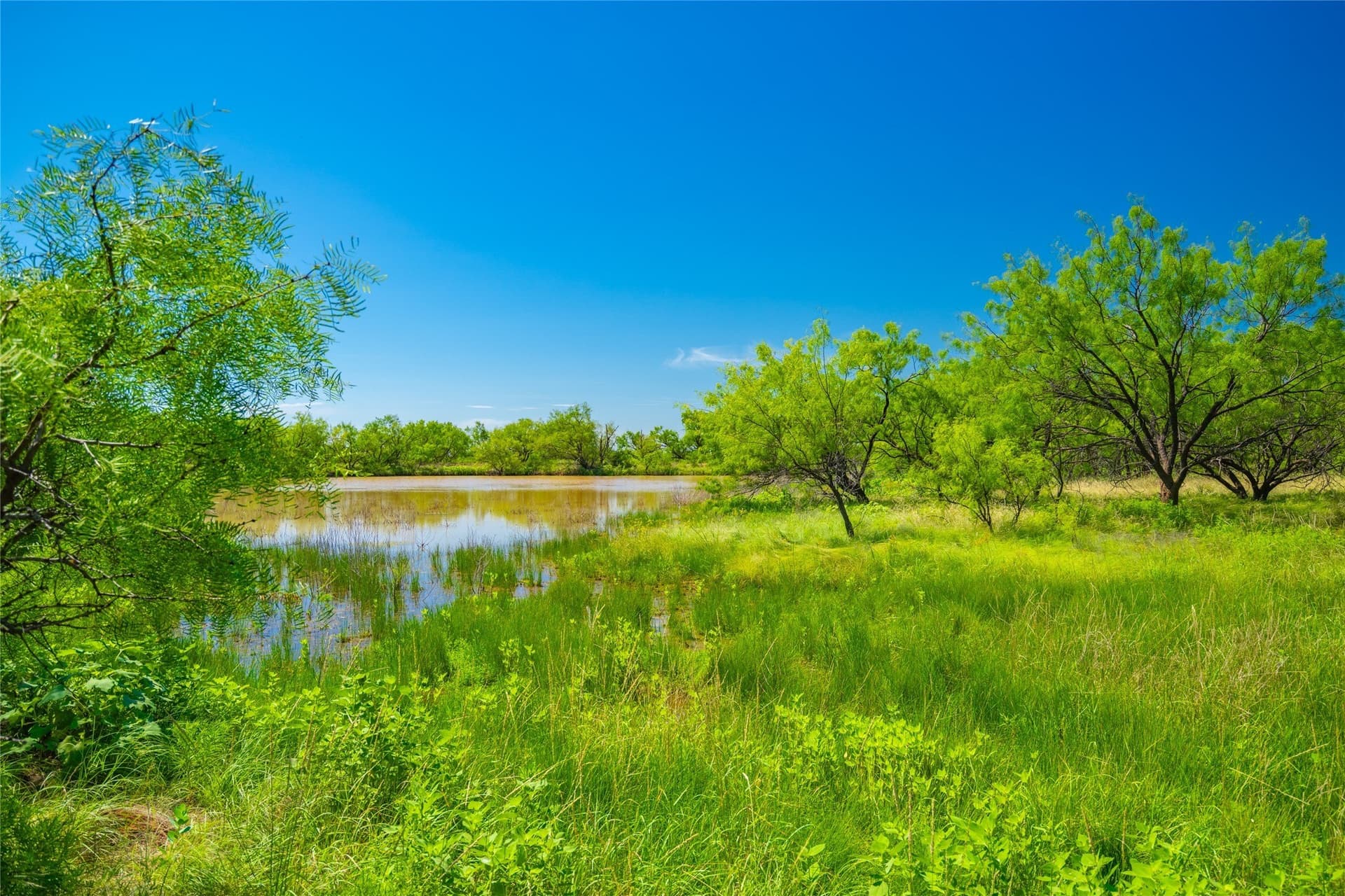 219 acres in Young County - photo 8