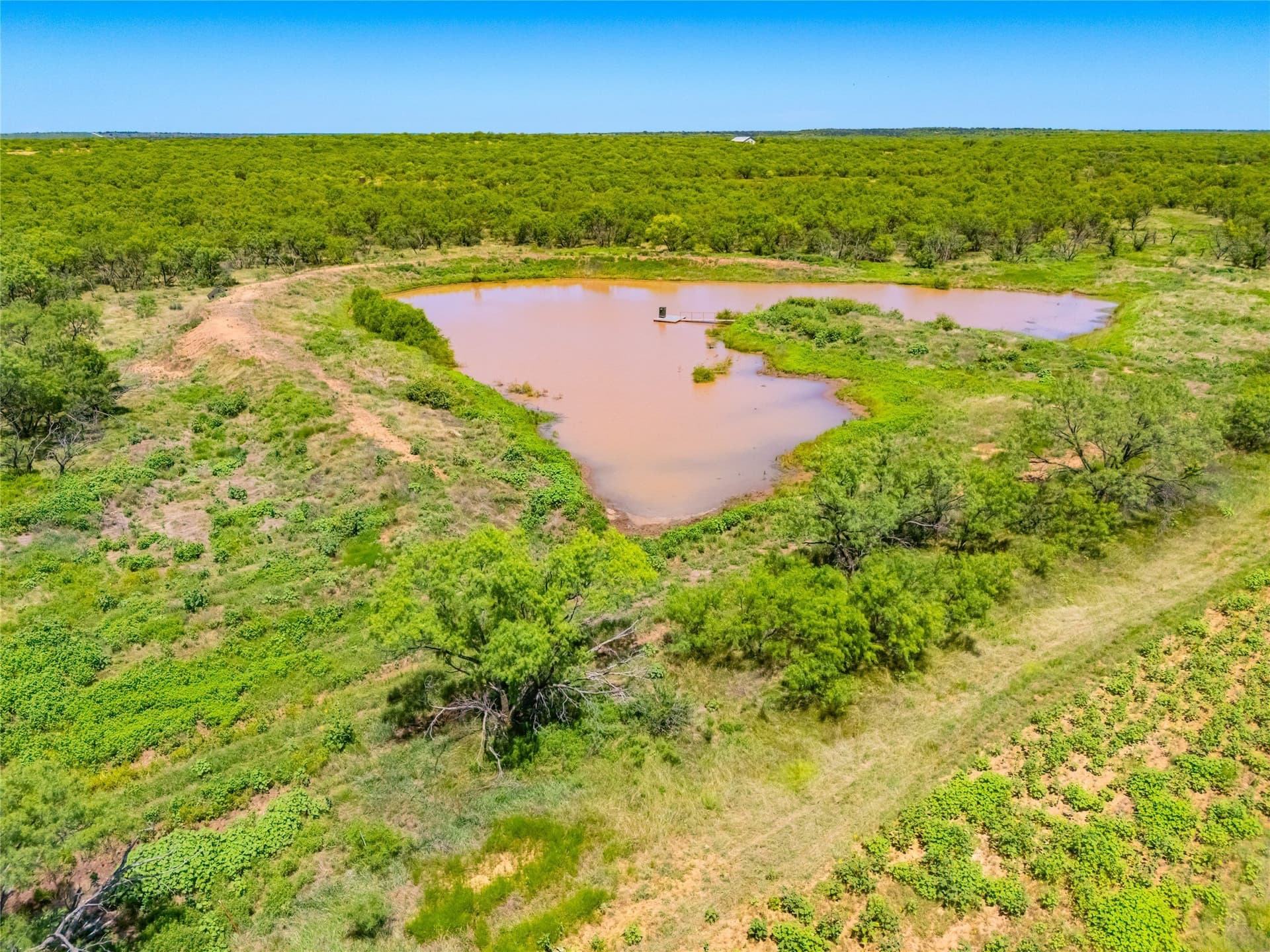 219 acres in Young County - photo 28