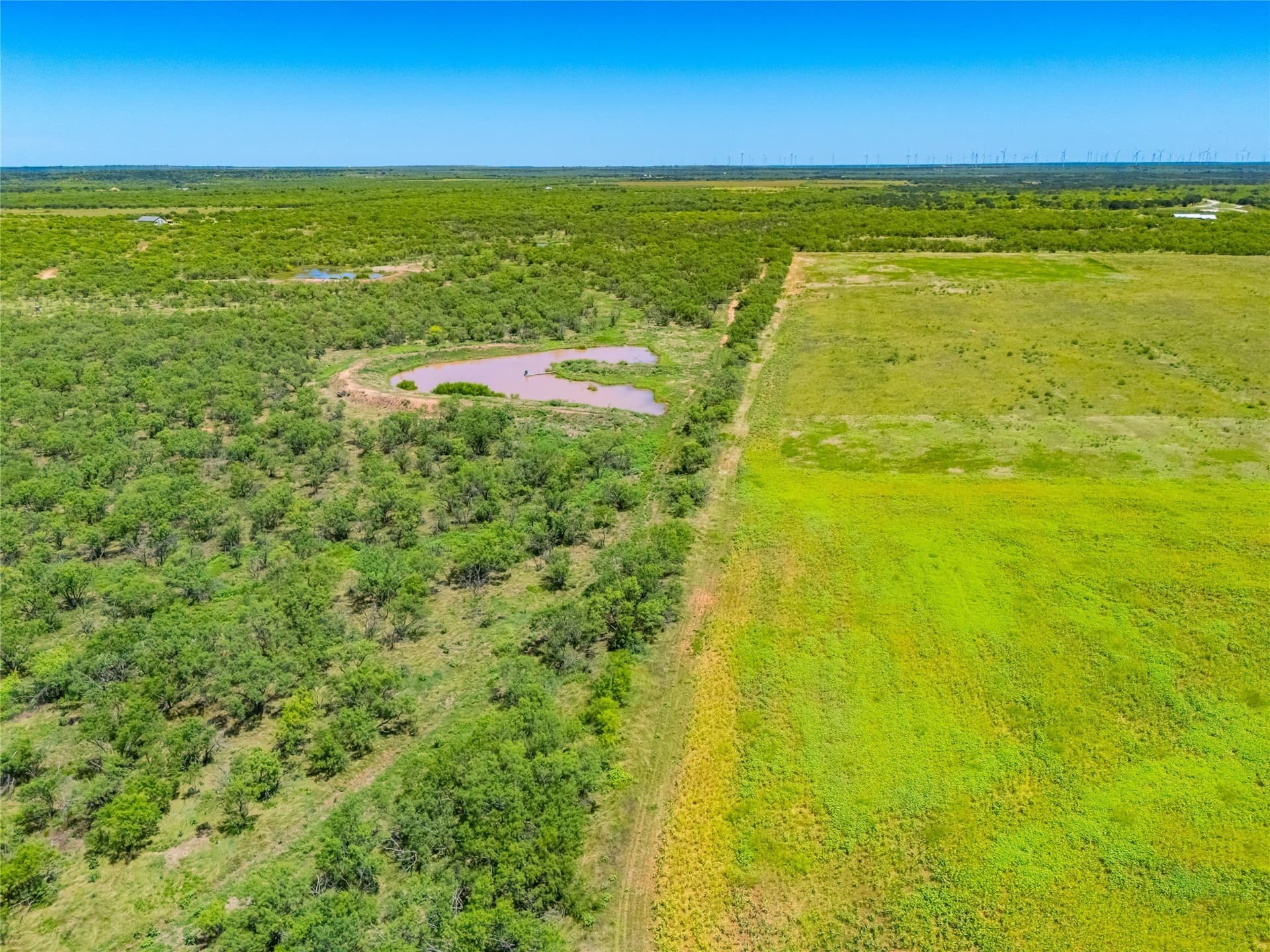 219 acres in Young County - photo 6