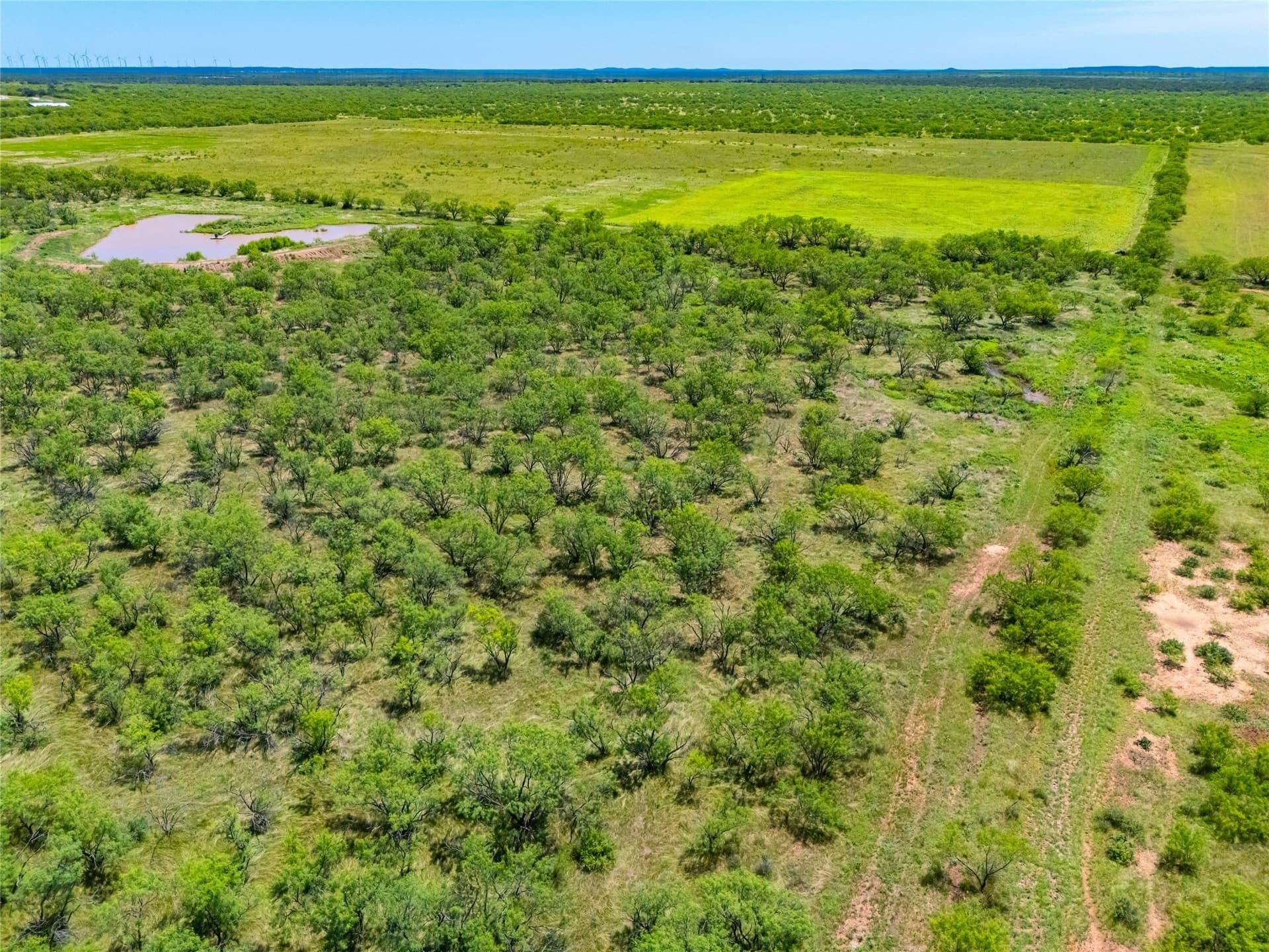 219 acres in Young County - photo 27