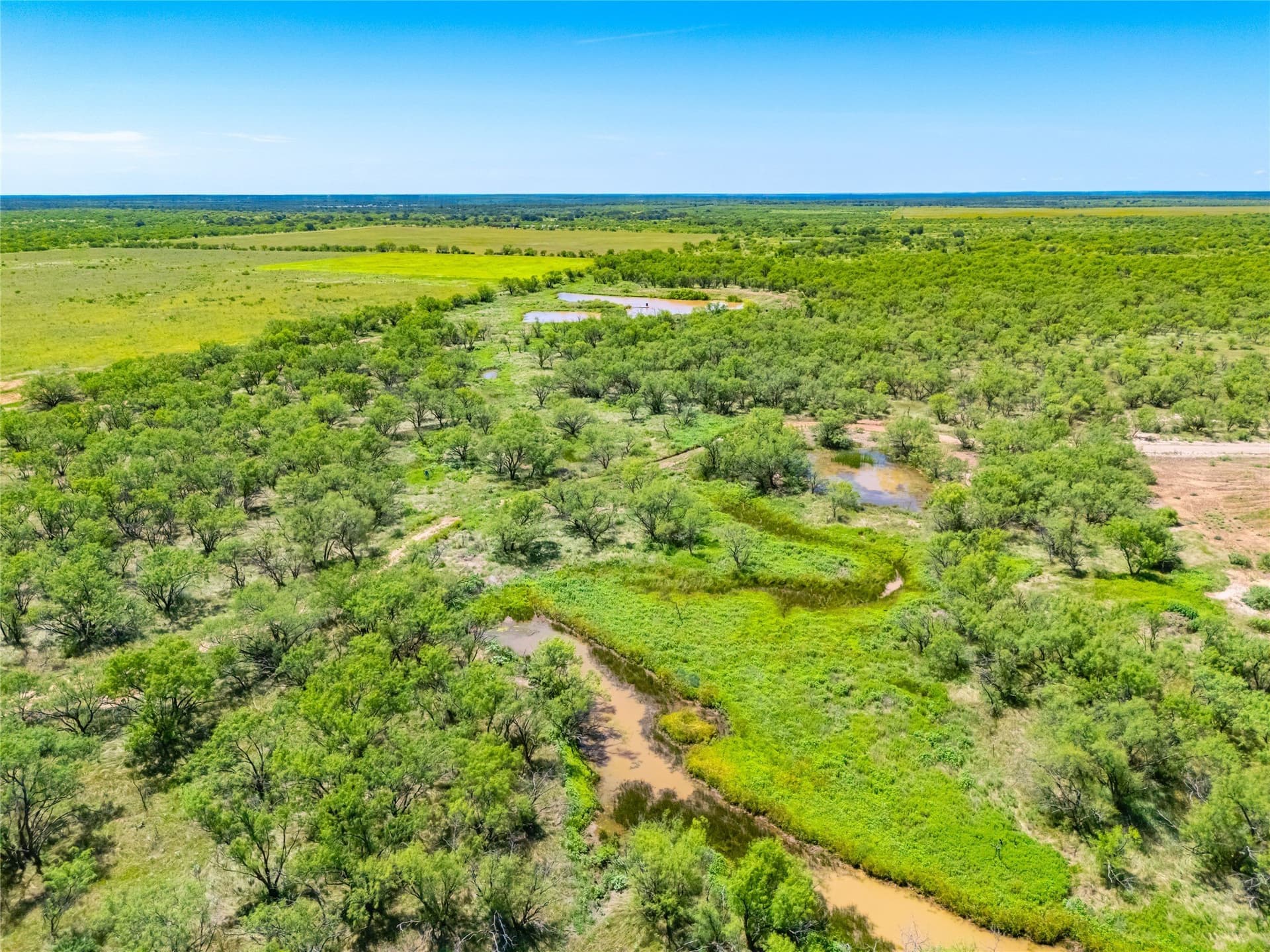 219 acres in Young County