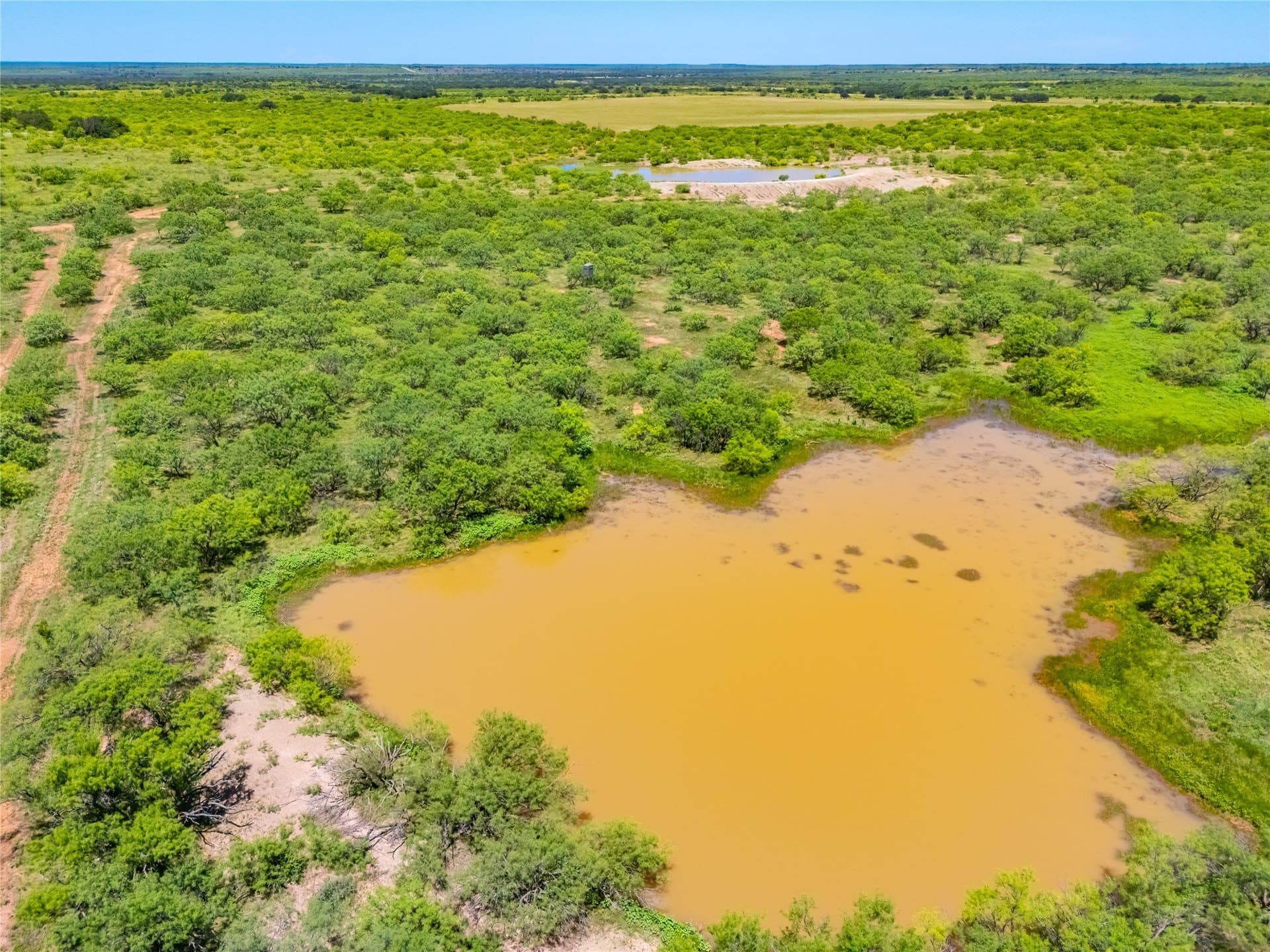 219 acres in Young County - photo 38