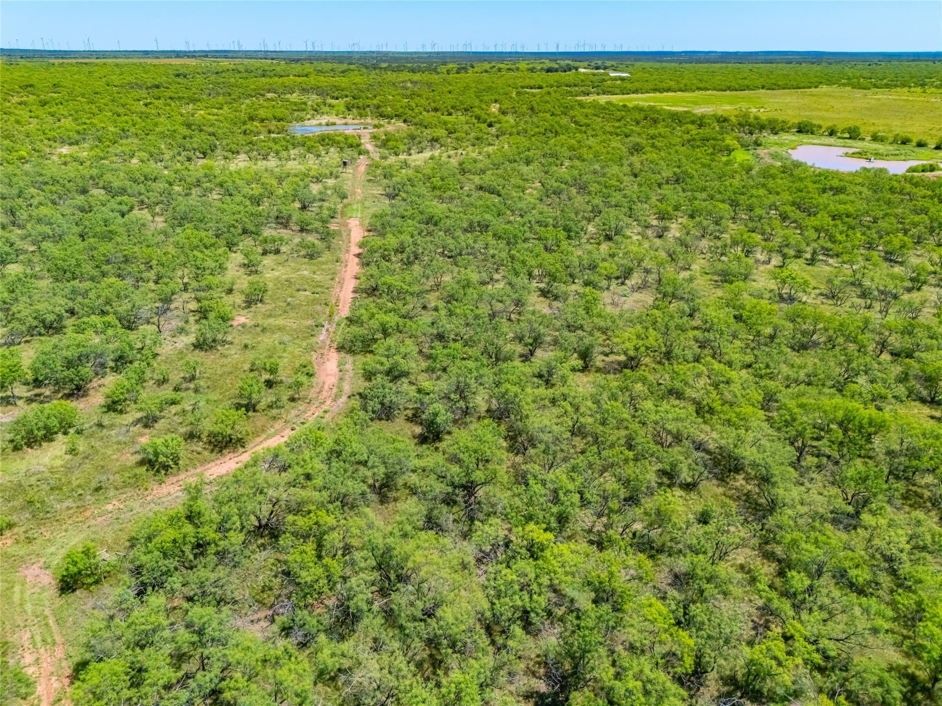 219 acres in Young County - photo 39