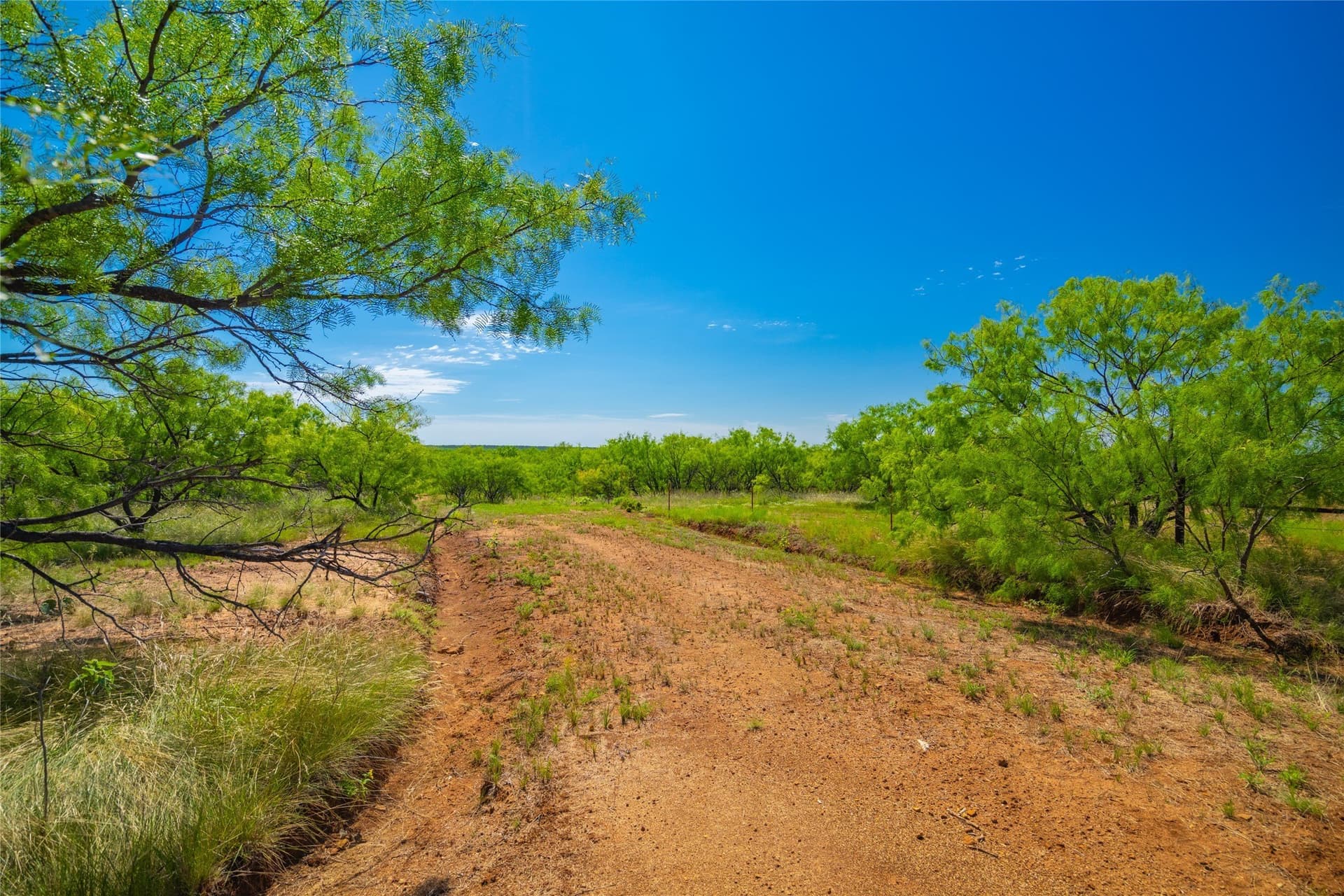 219 acres in Young County - photo 30