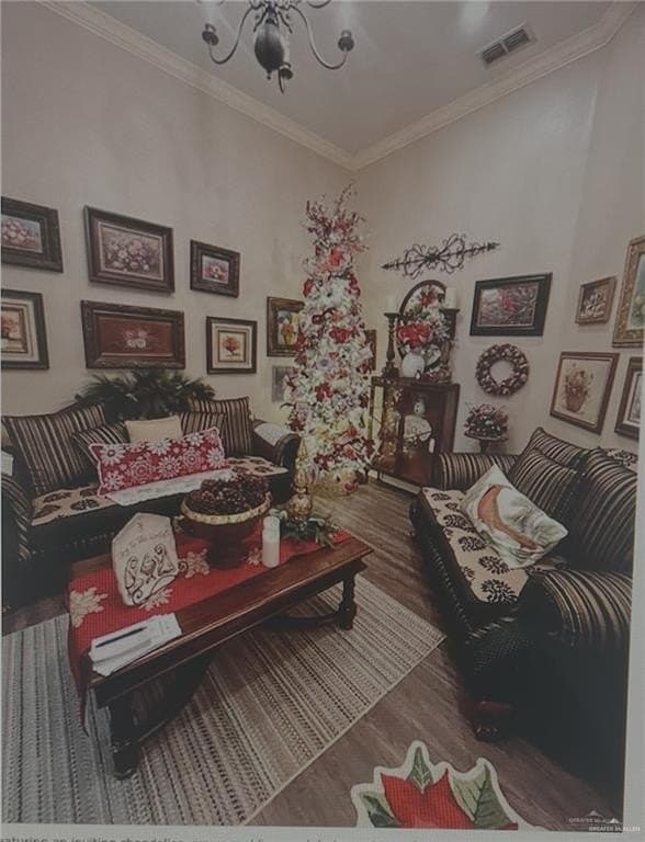 30 acres in Hidalgo County featured view