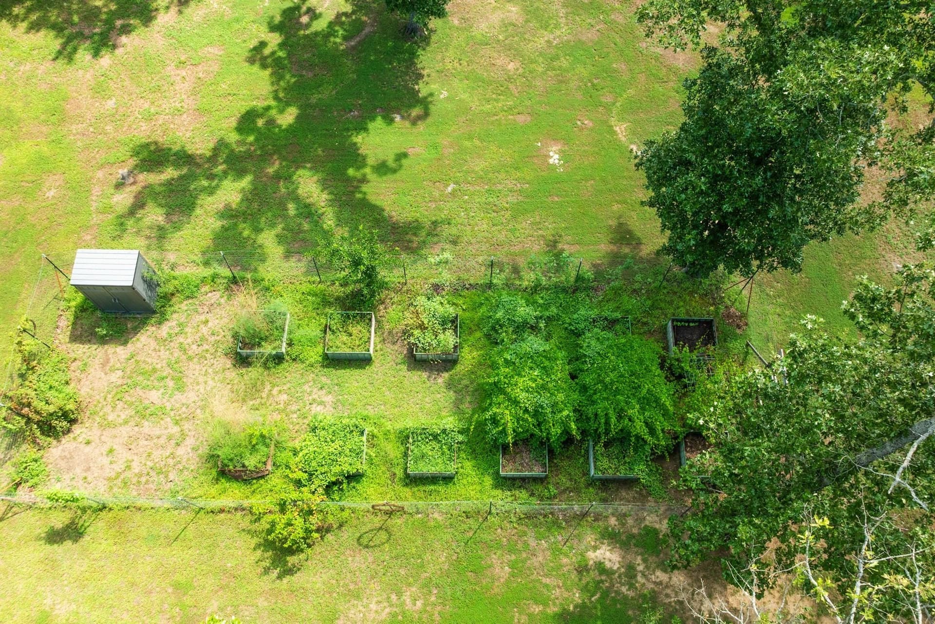 11.42 acres in Lamar County - photo 37
