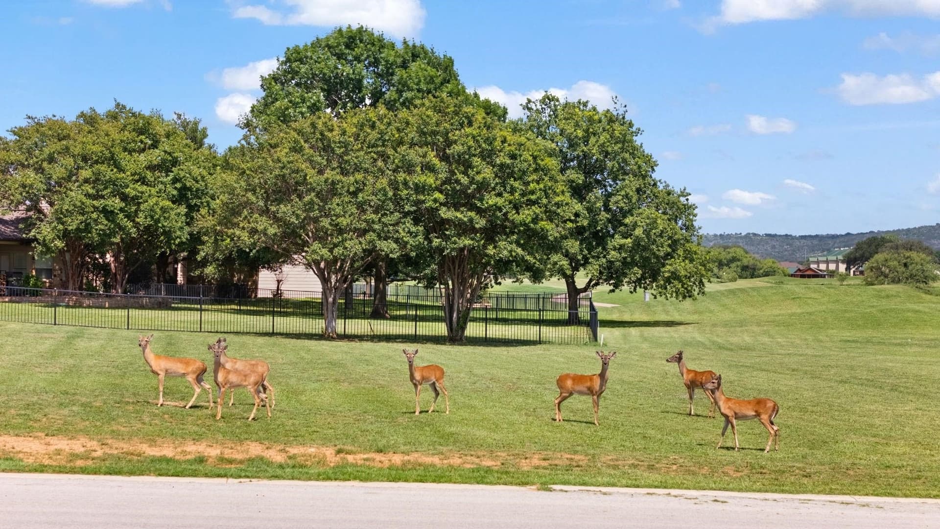 0.68 acres in Burnet County - photo 13