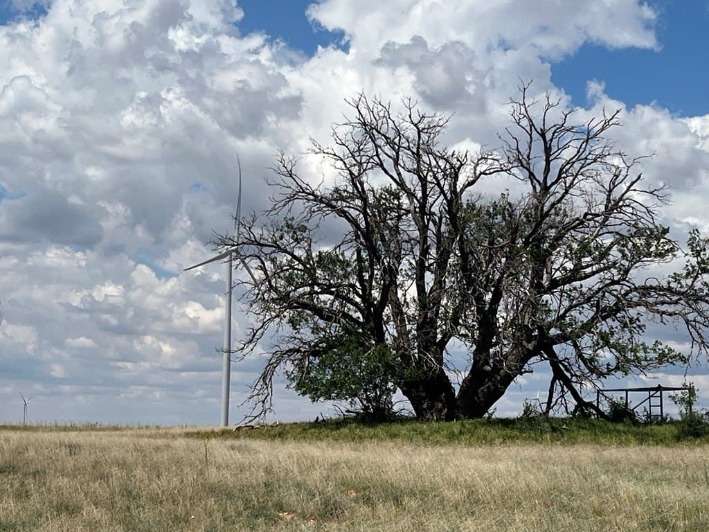 12.73 acres in Scurry County gallery image 4