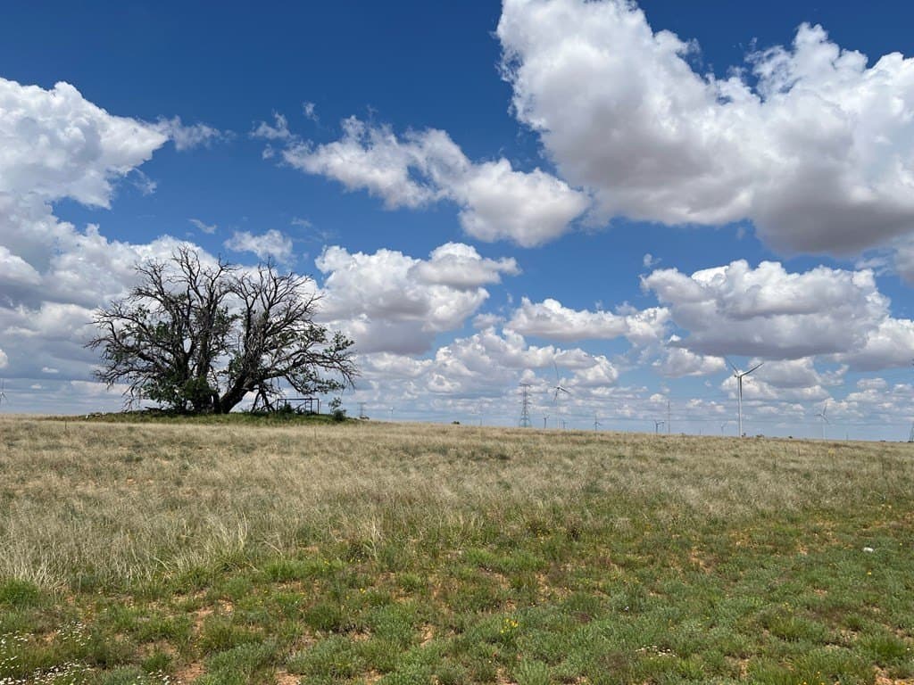 12.73 acres in Scurry County gallery image 2