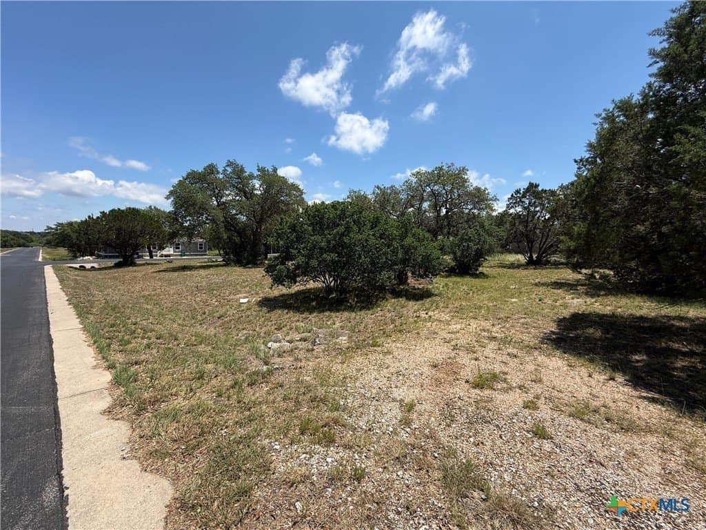 0.31 acres in Burnet County gallery image 4