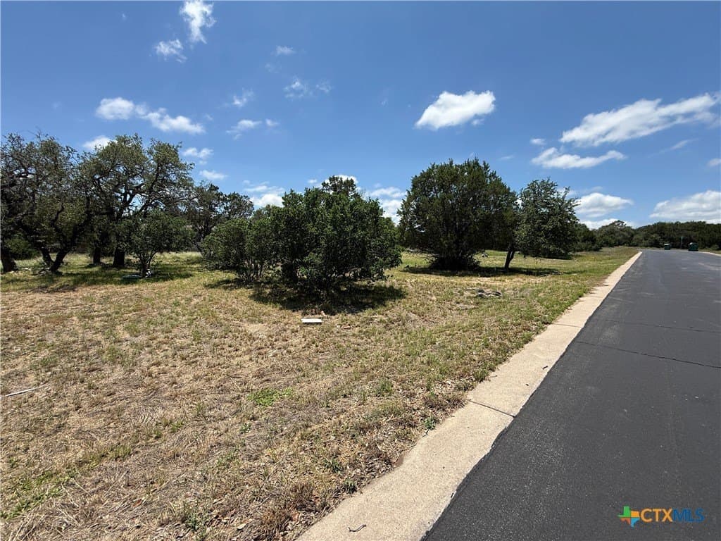 0.31 acres in Burnet County gallery image 3