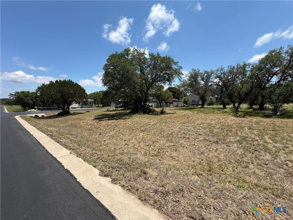 0.31 acres in Burnet County gallery image 2