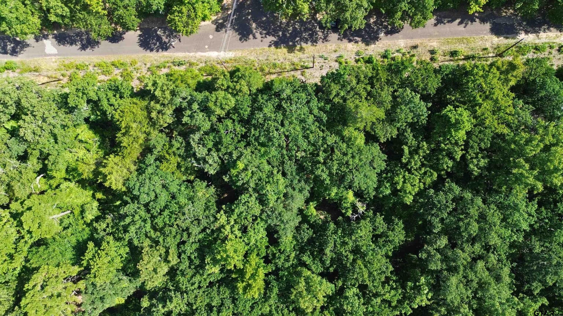 0.21 acres in Van Zandt County gallery image 3