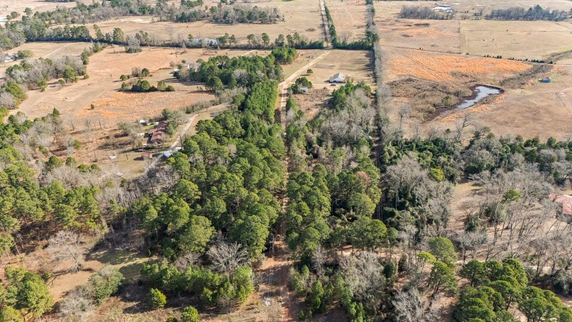 2.6 acres in Wood County - photo 10
