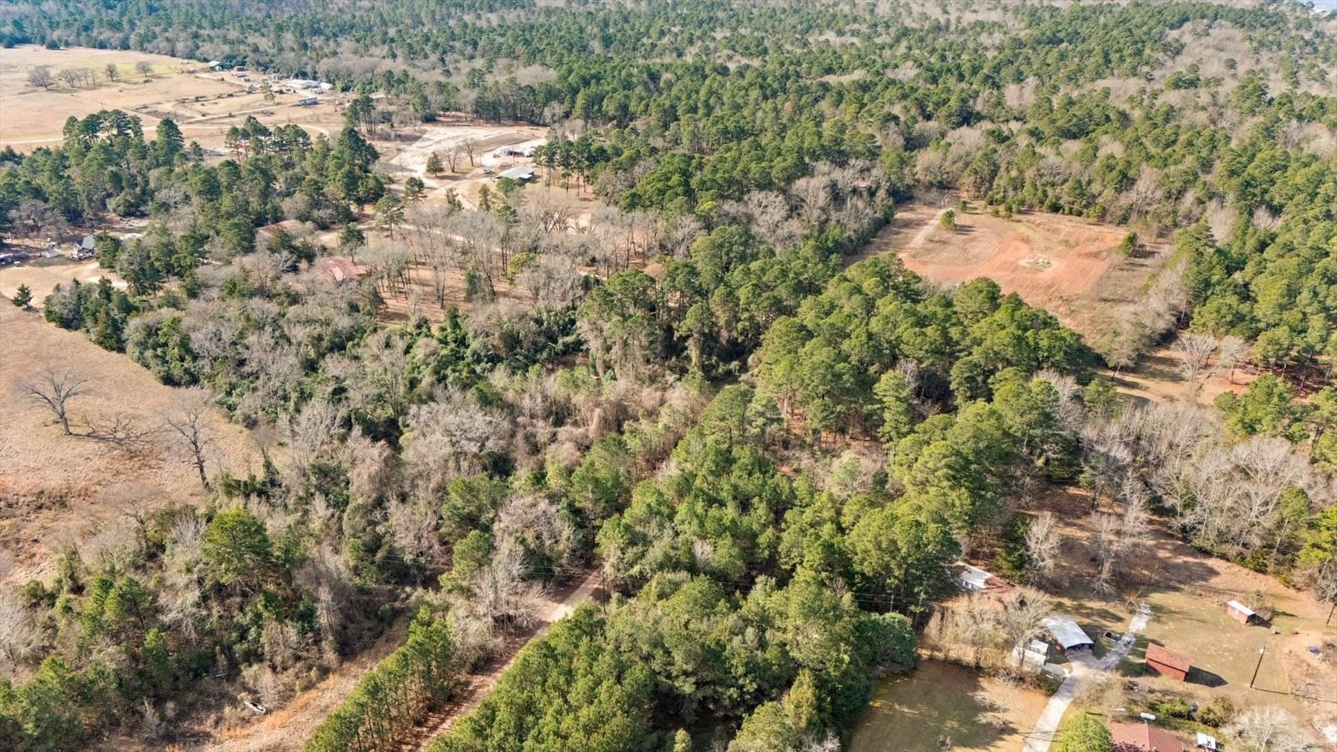 2.6 acres in Wood County - photo 5
