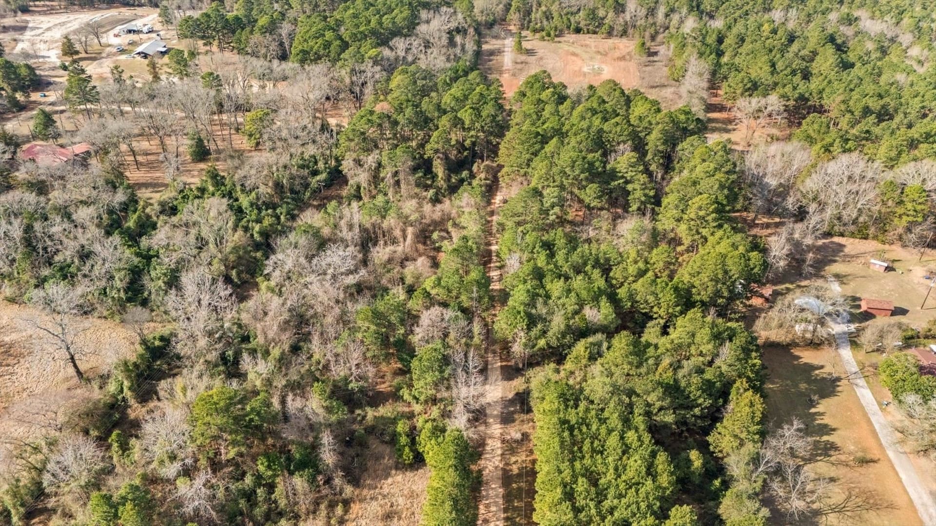 2.6 acres in Wood County - photo 3