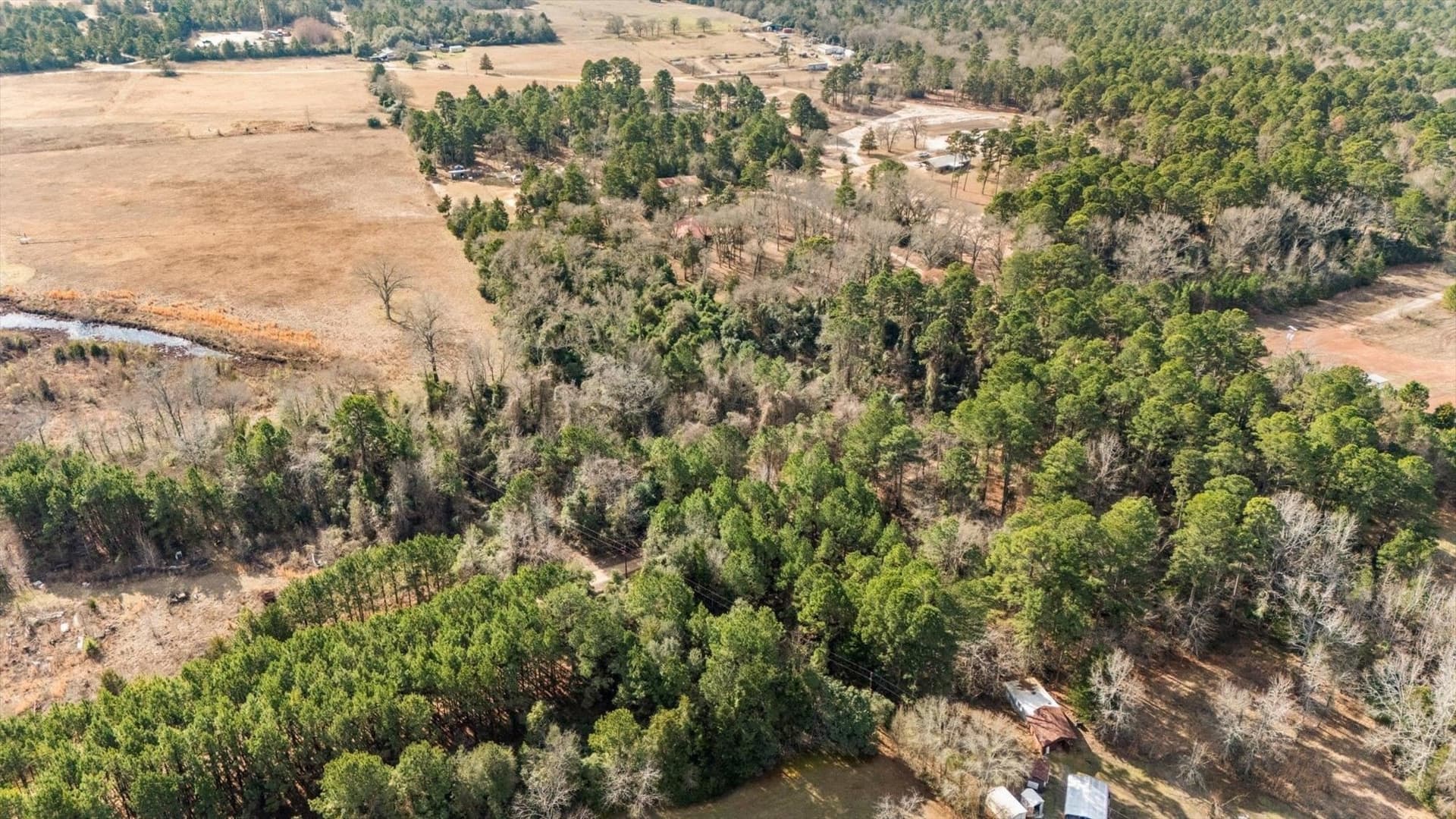 2.6 acres in Wood County - photo 8