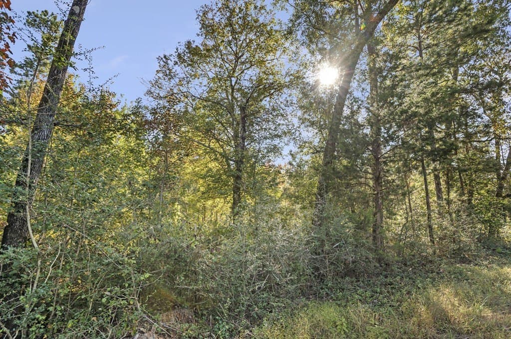 12.45 acres in Texas County gallery image 2