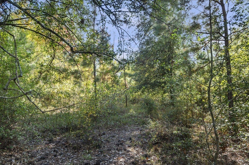 12.45 acres in Texas County gallery image 3