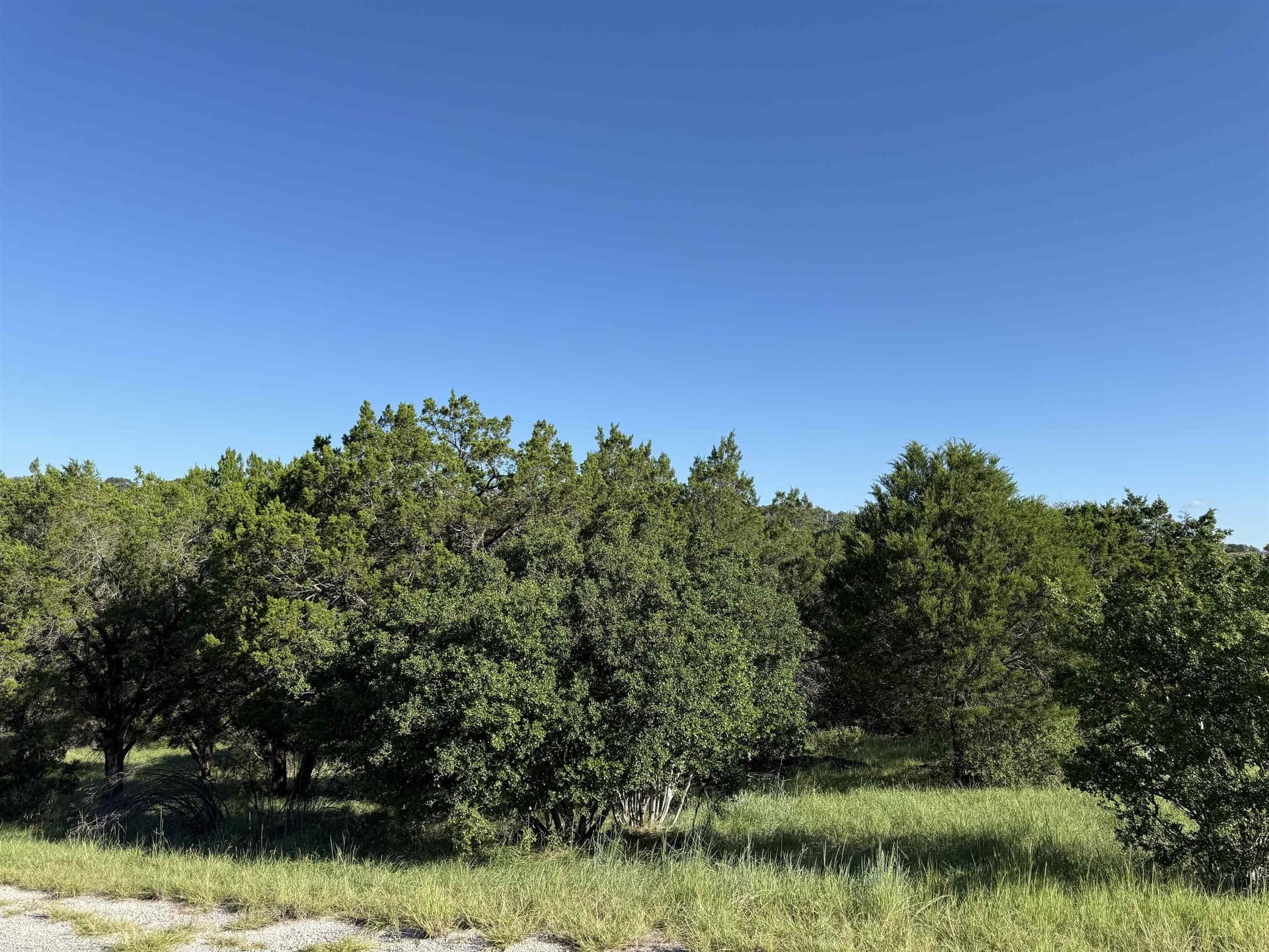 0.24 acres in Llano County gallery image 4