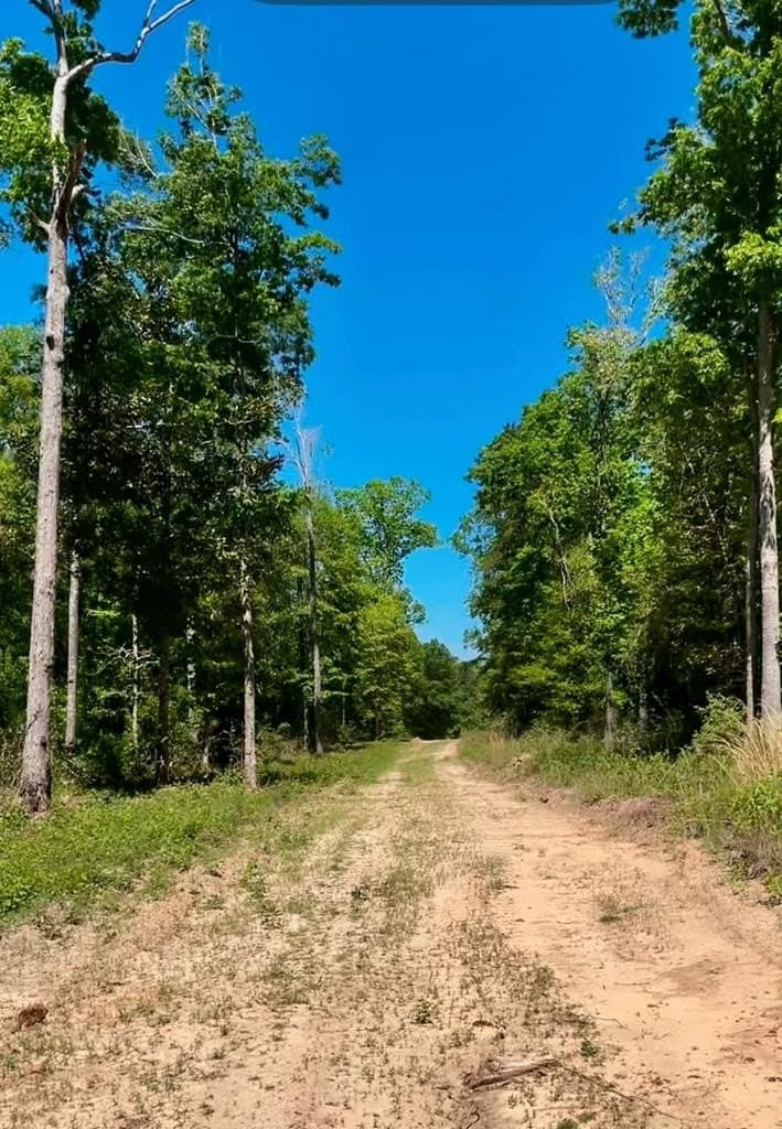 12.29 acres in Texas County