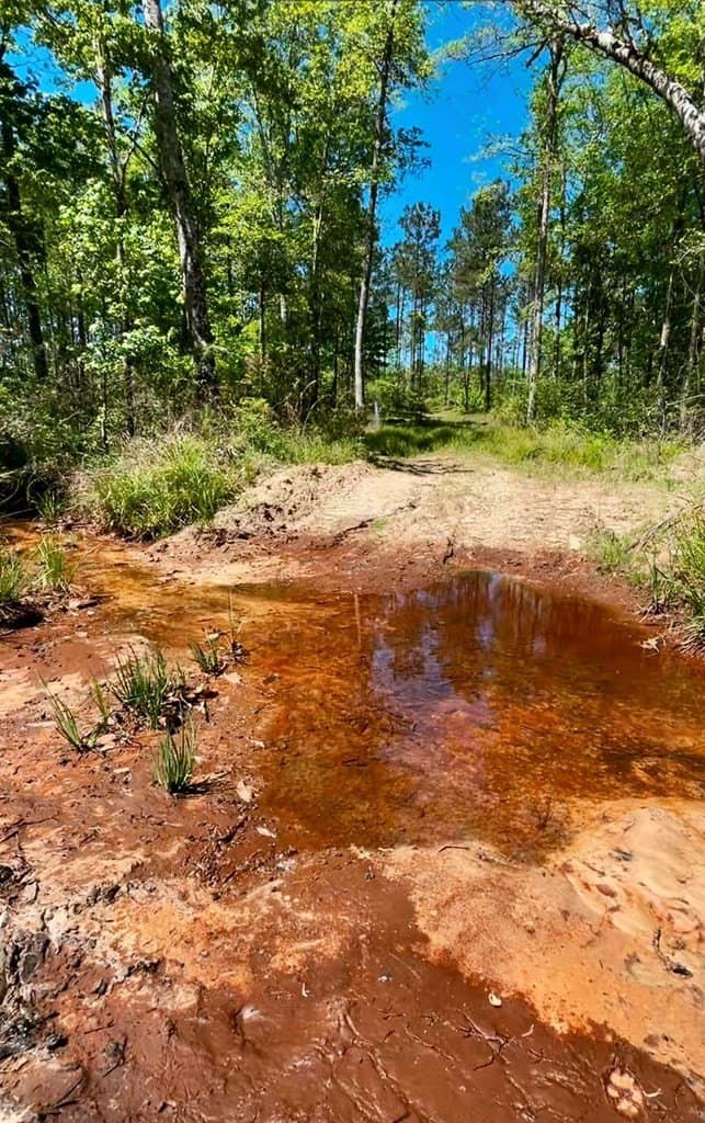 12.29 acres in Texas County gallery image 3