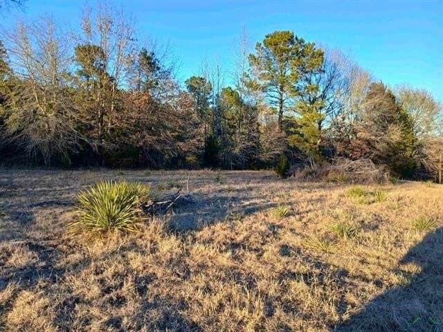 2 acres in Harrison County gallery image 2