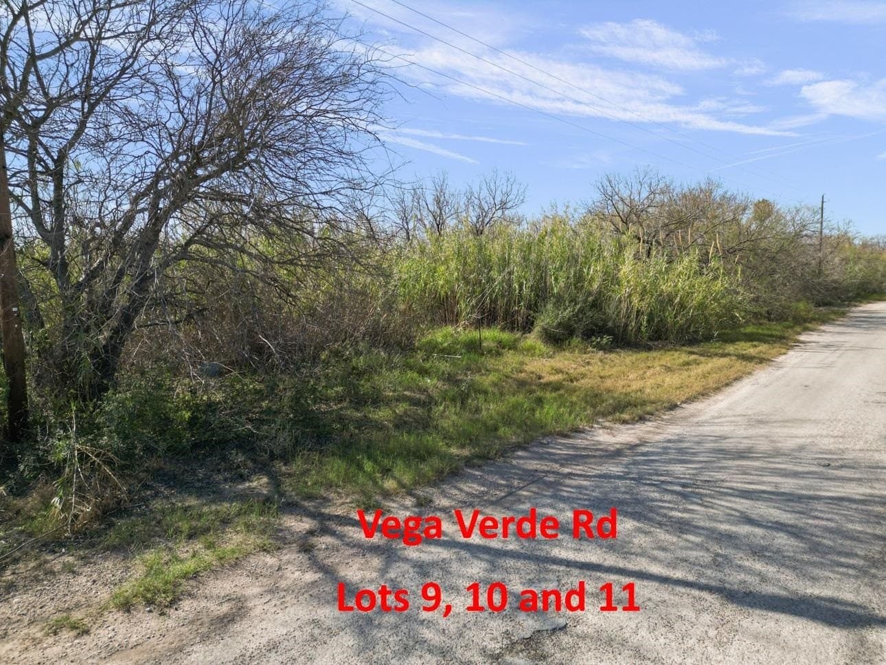 0.34 acres in Val Verde County gallery image 4