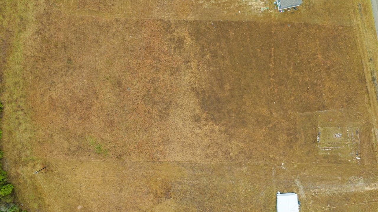 2.5 acres in Lamar County - photo 18