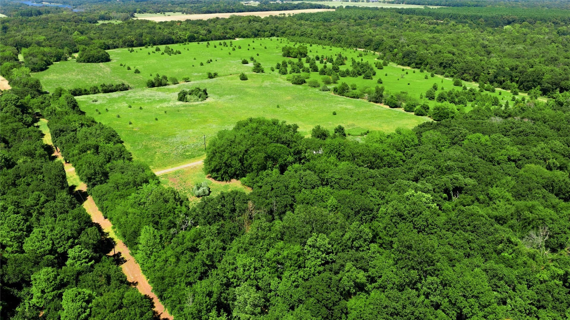 10 acres in Henderson County - photo 24