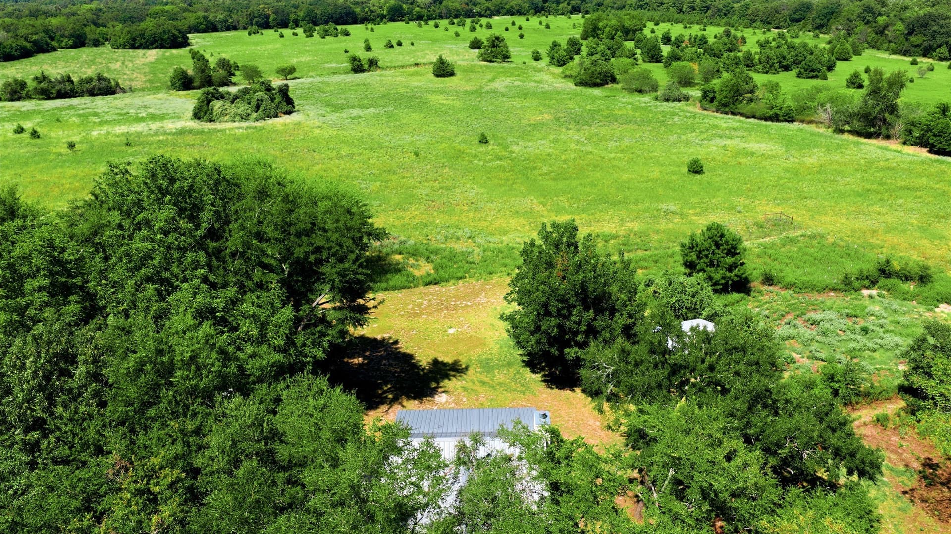 10 acres in Henderson County - photo 20