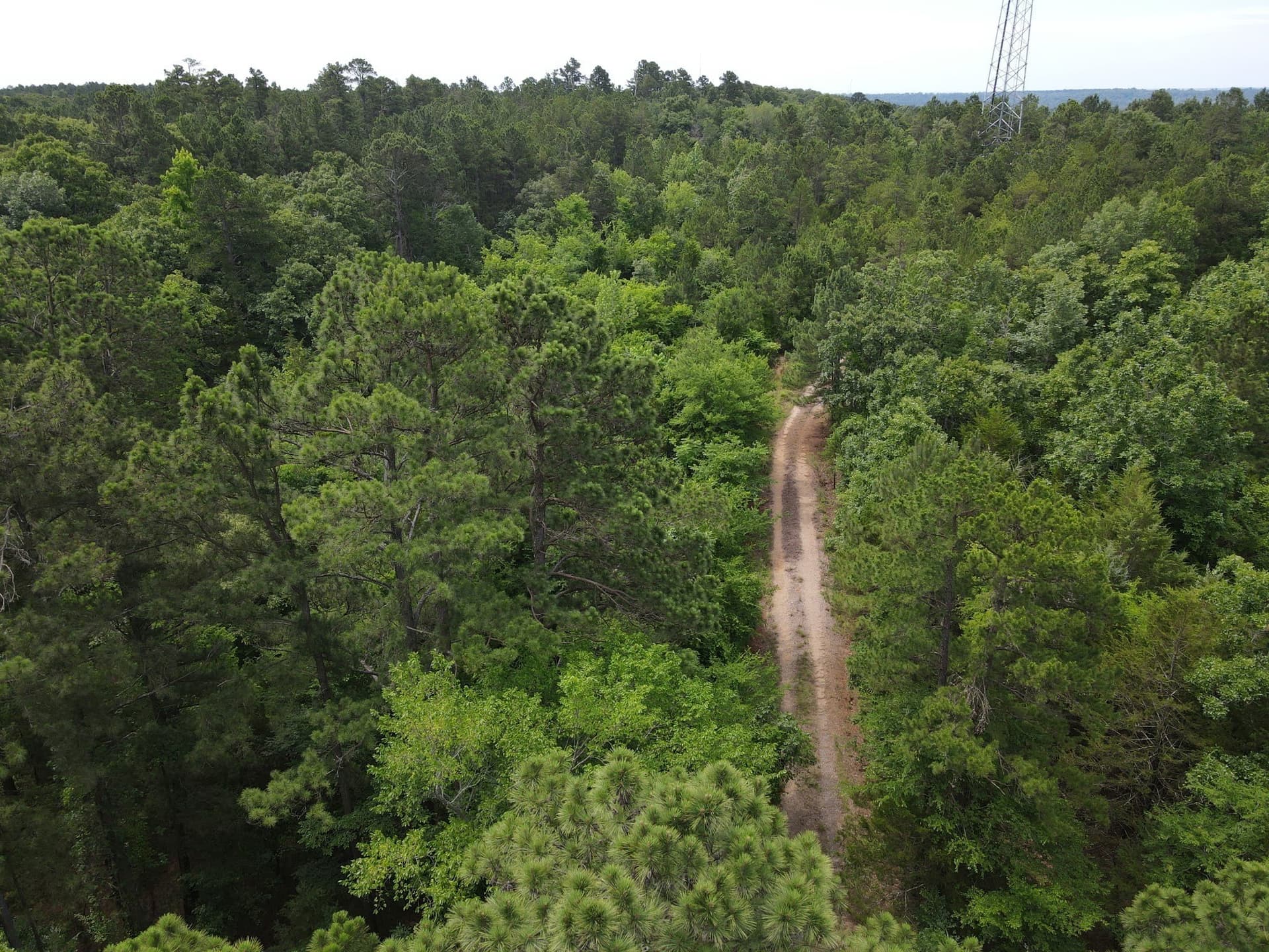 16.01 acres in Van Zandt County gallery image 3