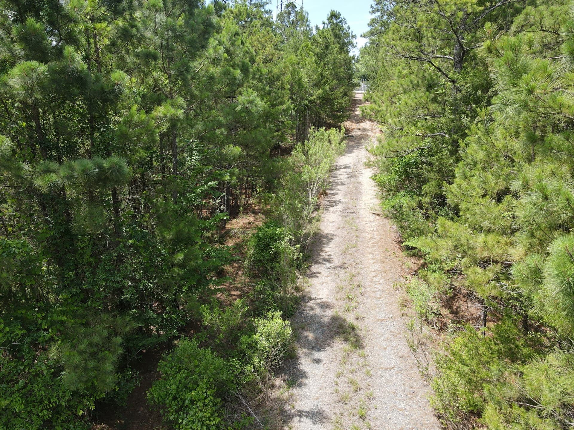 16.01 acres in Van Zandt County gallery image 4