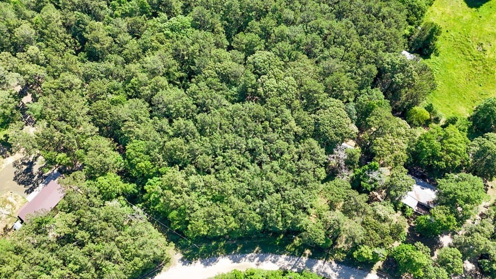 4.28 acres in Texas County gallery image 4