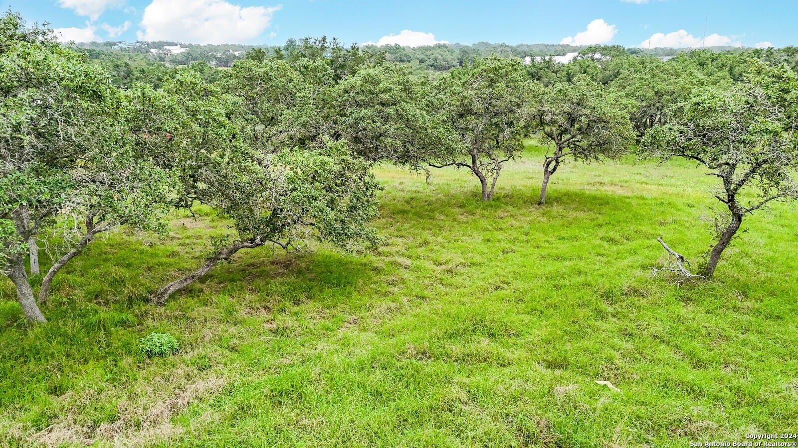 1.06 acres in Comal County - photo 9