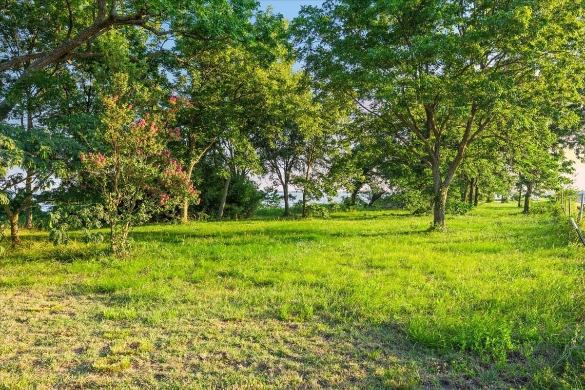 12.25 acres in Navarro County - photo 15