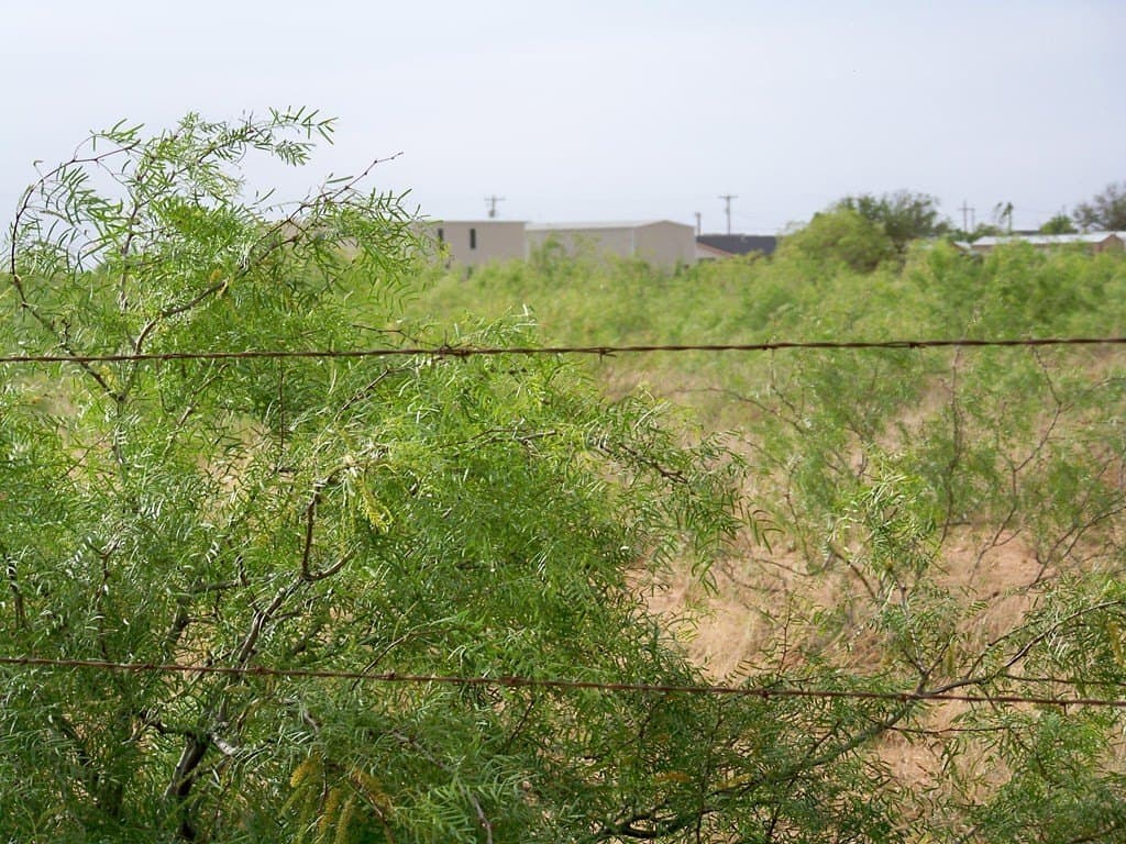 8.36 acres in Andrews County - photo 6