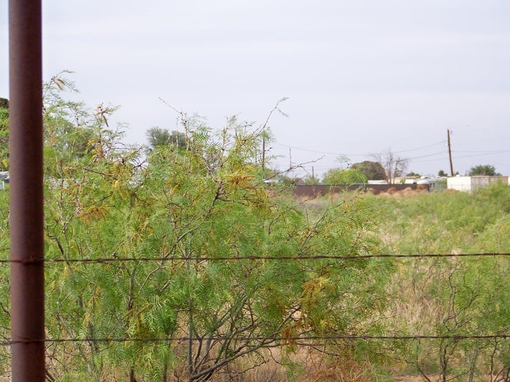 8.36 acres in Andrews County - photo 7