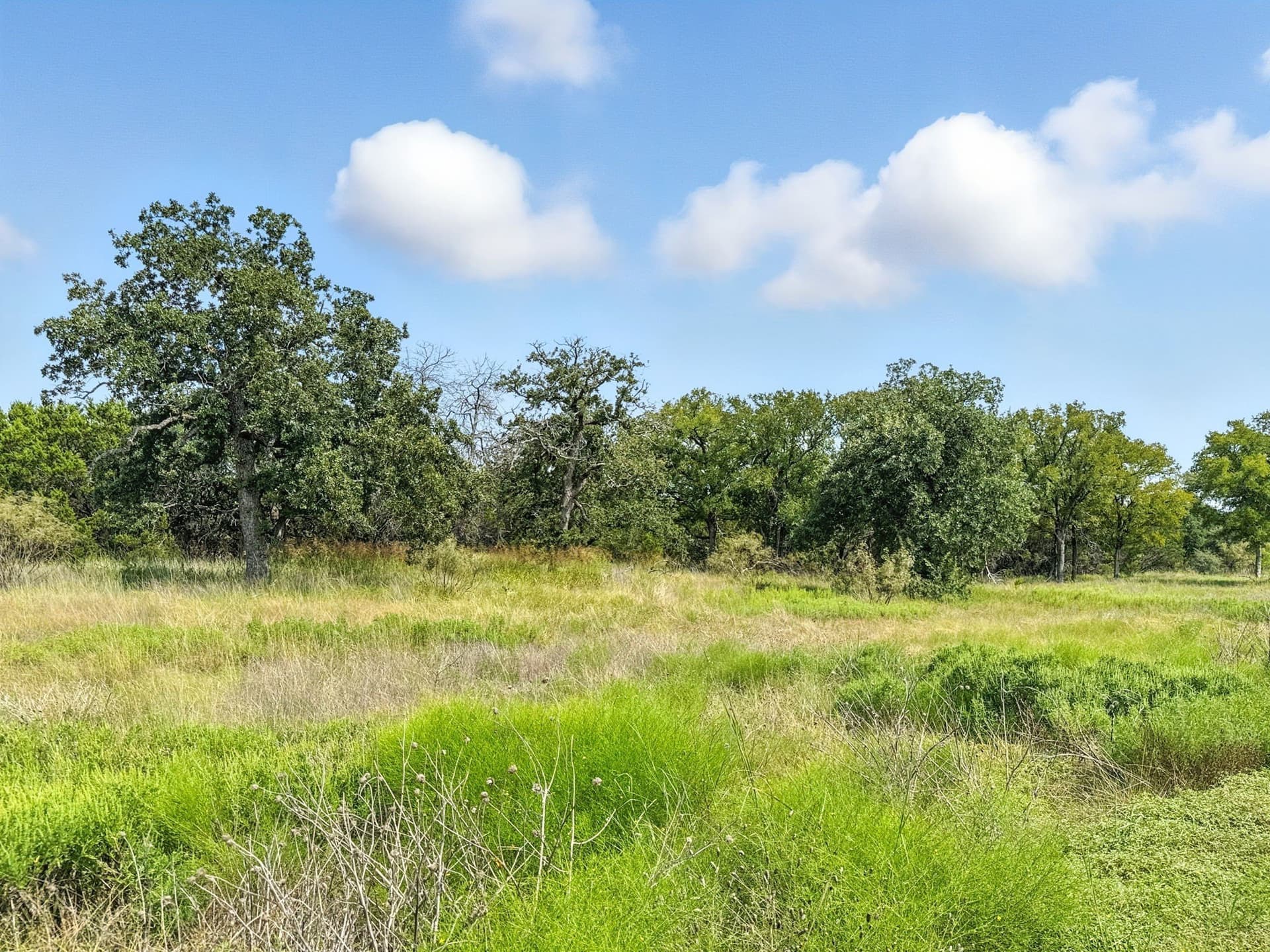 10.01 acres in Hamilton County gallery image 2